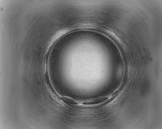 X0000087391413200704201231