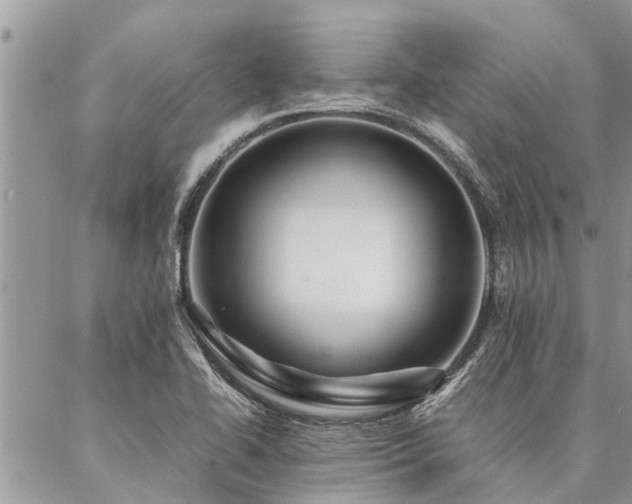 X0000087391414200704201231