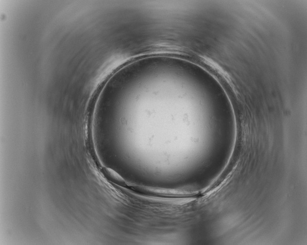 X0000087391415200704201231