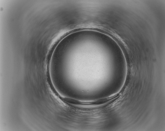 X0000087391416200704201231