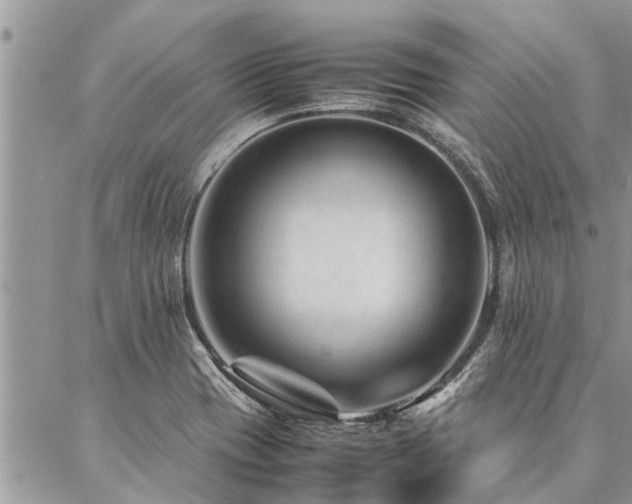 X0000087391417200704201231