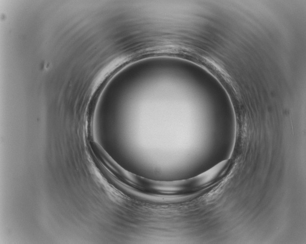 X0000087391418200704201231