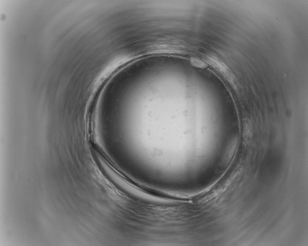 X0000087391419200704201231