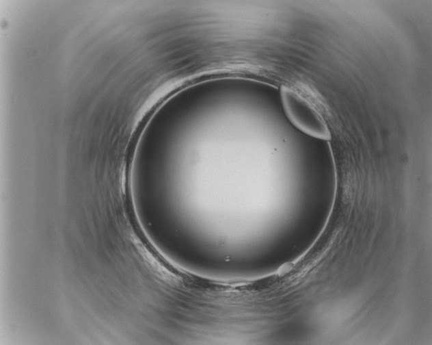 X0000087391420200704201231