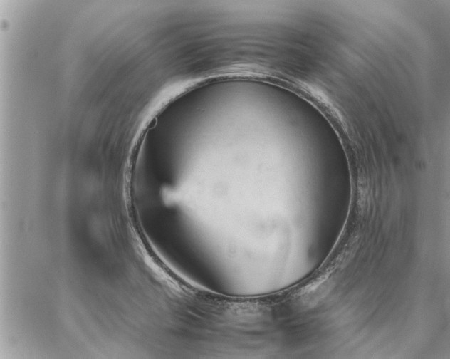 X0000087391421200704201231