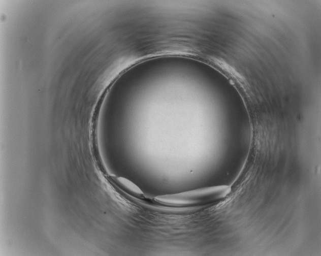 X0000087391423200704201231