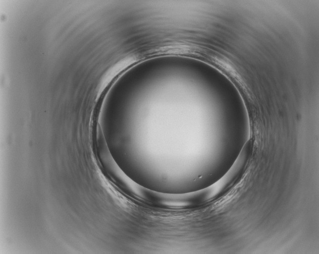 X0000087391426200704201231