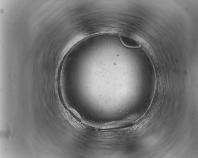 X0000087391427200704201231