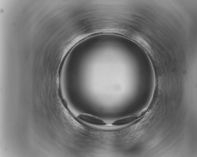 X0000087391428200704201231