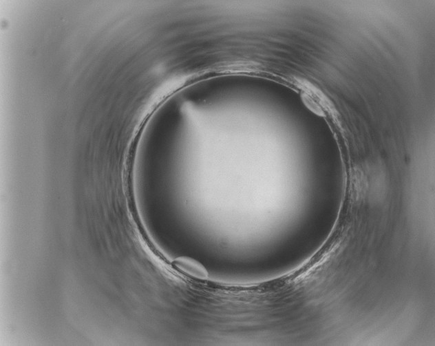 X0000087391429200704201231