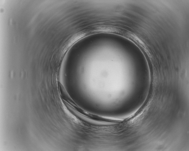 X0000087391433200704201231