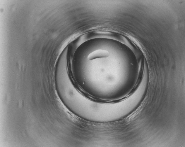 X0000087391434200704201231