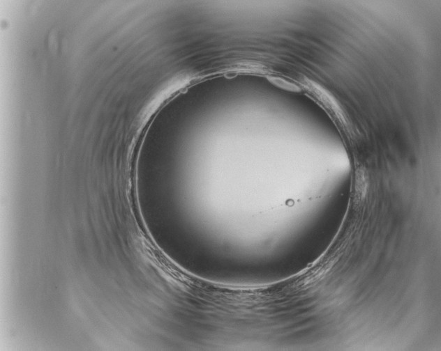 X0000087391435200704201231