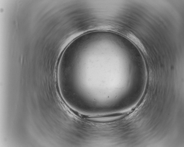 X0000087391436200704201231