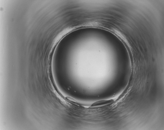 X0000087391437200704201231