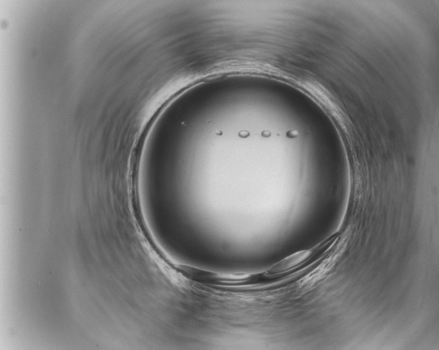 X0000087391438200704201231