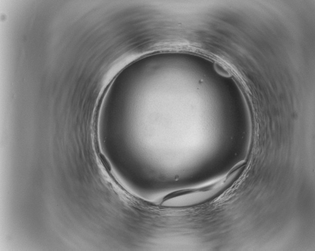 X0000087391440200704201231