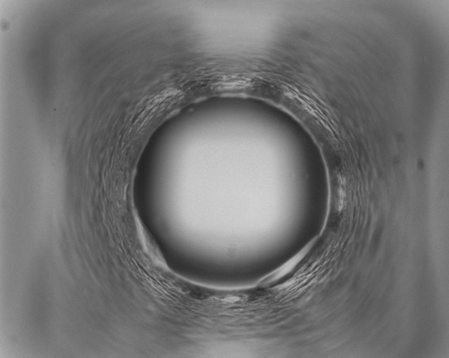 X0000087391441200704201230