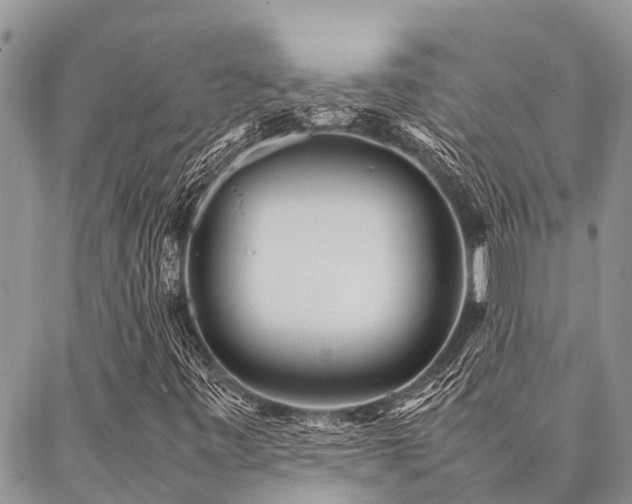 X0000087391443200704201230