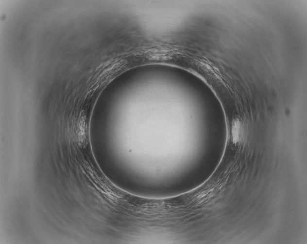 X0000087391444200704201230