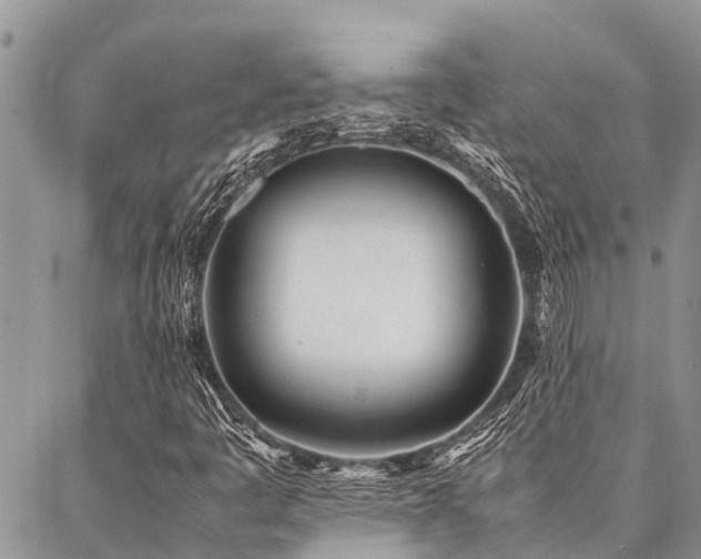 X0000087391445200704201230