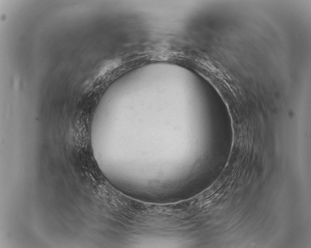 X0000087391446200704201230