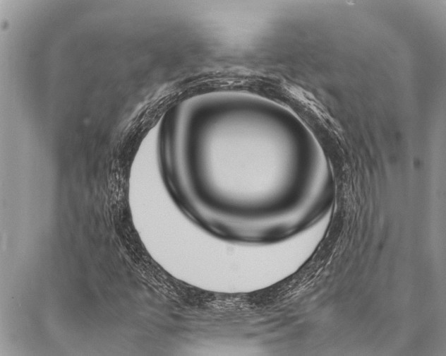 X0000087391447200704201230