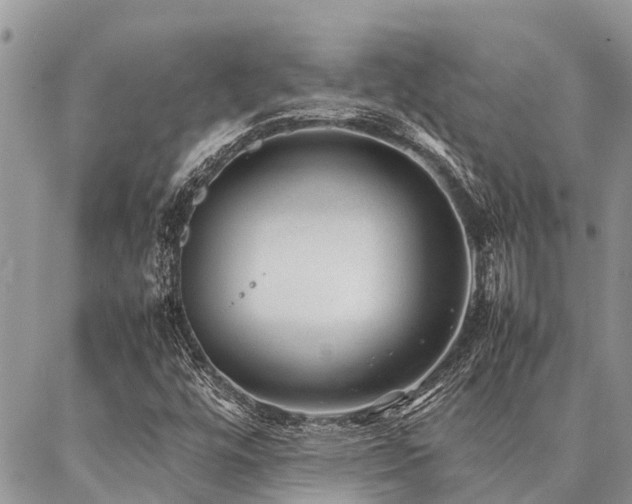 X0000087391448200704201230