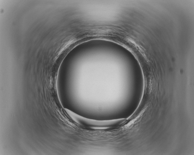 X0000087391449200704201230