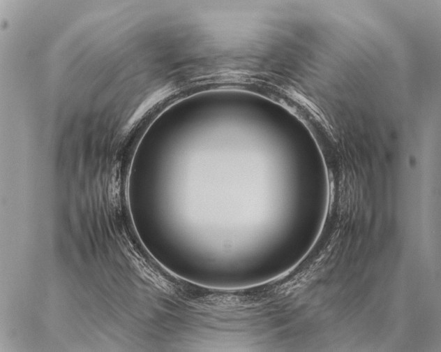 X0000087391450200704201230