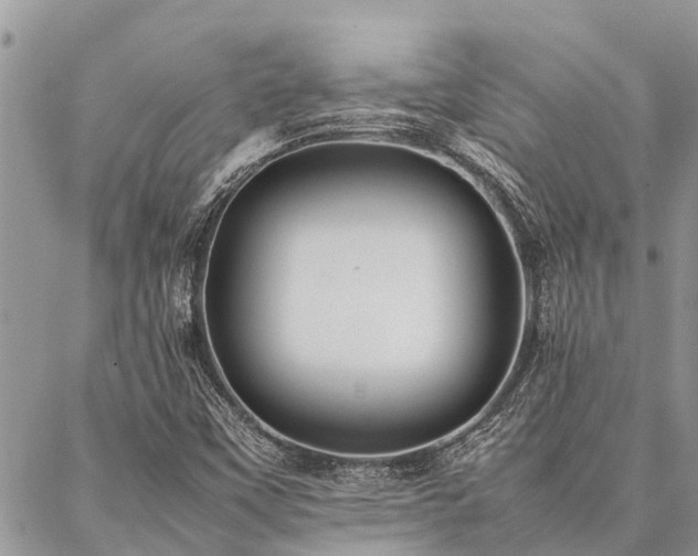 X0000087391451200704201230