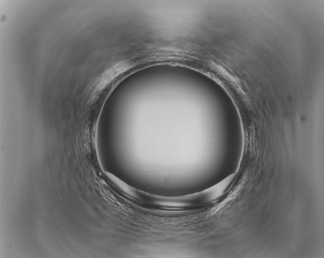 X0000087391453200704201230