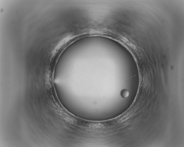 X0000087391454200704201230