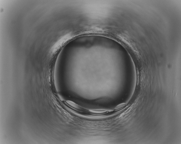 X0000087391455200704201230