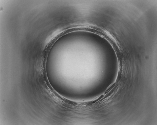 X0000087391456200704201230