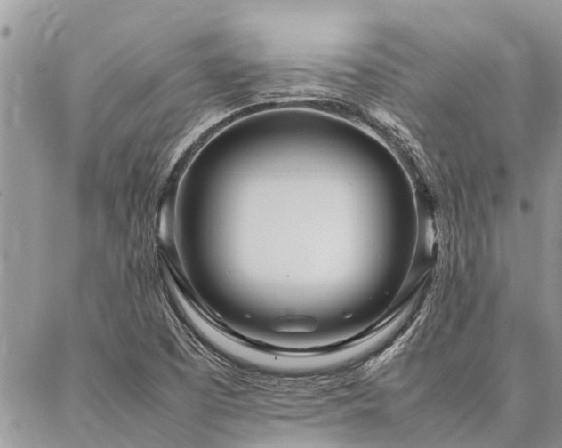 X0000087391457200704201230