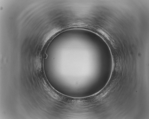 X0000087391458200704201230