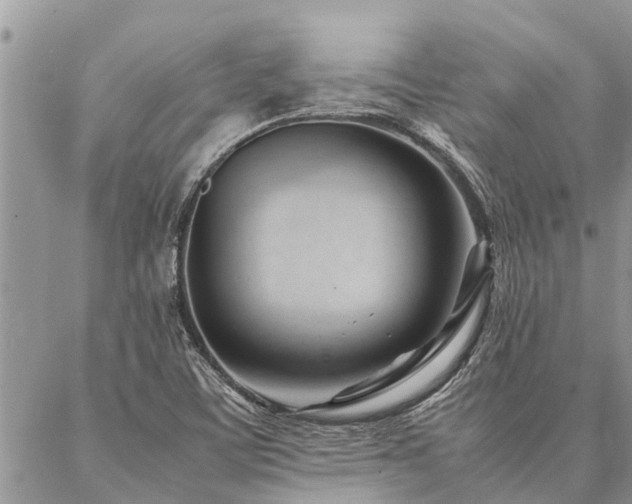 X0000087391459200704201230