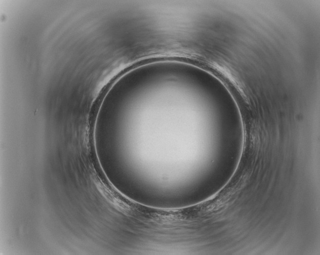 X0000087391460200704201230