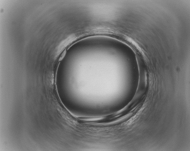 X0000087391461200704201230