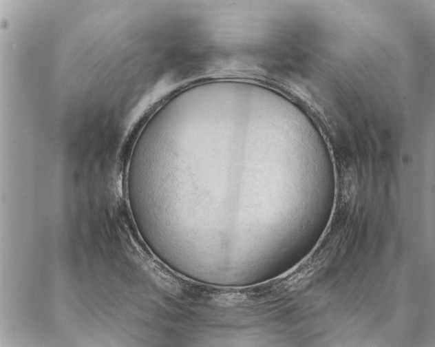 X0000087391462200704201230