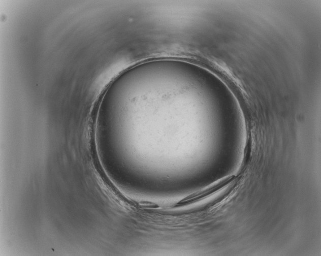 X0000087391463200704201230