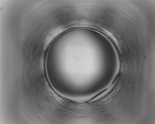 X0000087391464200704201230