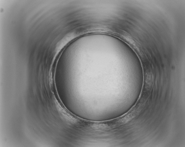 X0000087391466200704201230