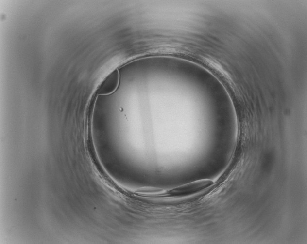 X0000087391467200704201230