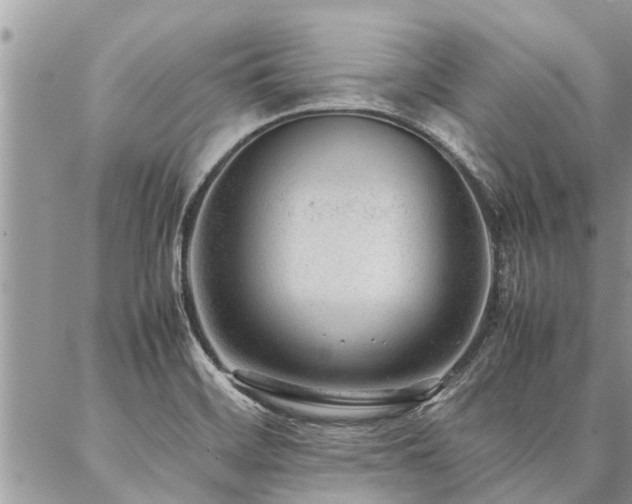 X0000087391468200704201230