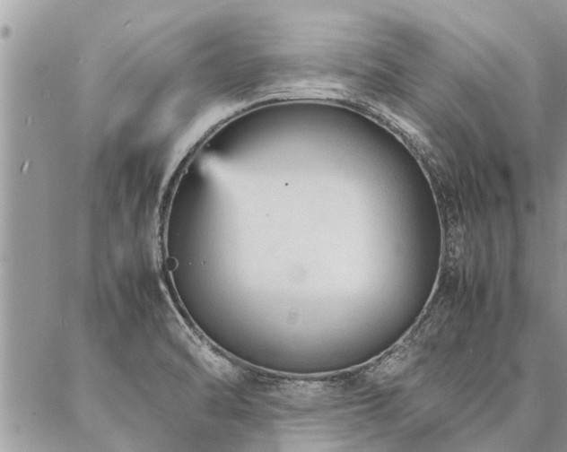 X0000087391470200704201230