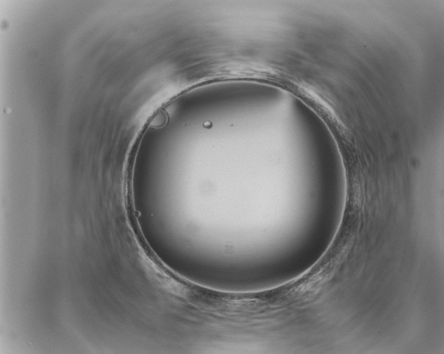 X0000087391471200704201230