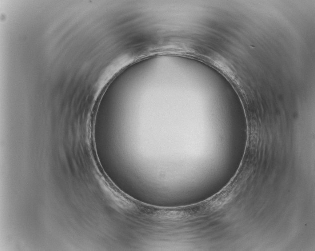 X0000087391474200704201230