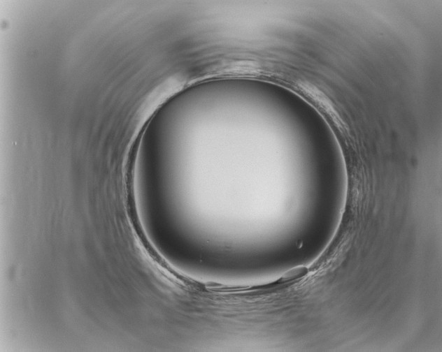 X0000087391475200704201230